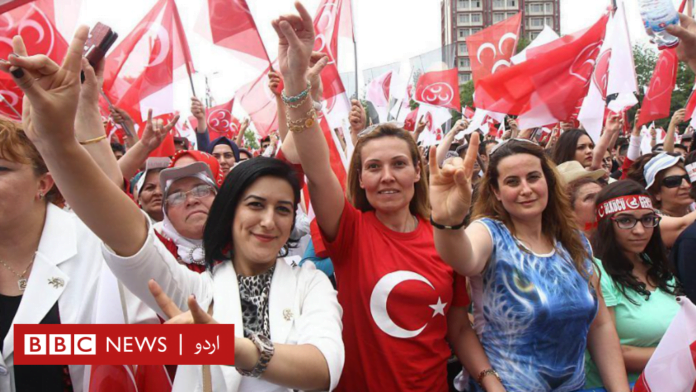 گرے وولوز کون ہیں اور کئی ممالک میں ان پر گرے وولوز کون ہیں اور کئی ممالک میں ان پر پابندی کیوں ہے؟ - BBC News اردو