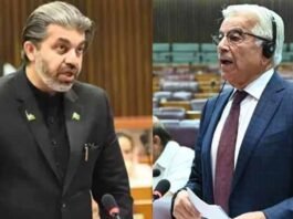 قومی اسمبلی میں خواجہ آصف اور علی محمد خان کے درمیان تلخ کلامی قومی اسمبلی میں خواجہ آصف اور علی محمد خان کے درمیان تلخ کلامی