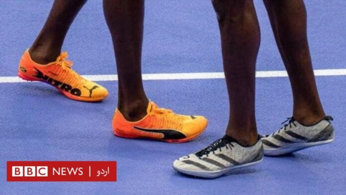 ایڈیڈاس اور پوما: دو بھائیوں کی دشمنی سے پیدا ہونے ایڈیڈاس اور پوما: دو بھائیوں کی دشمنی سے پیدا ہونے والی کمپنیاں جنھوں نے نہ صرف کھیل کی دنیا کی کایا پلٹ دی بلکہ ایک شہر کو بھی بانٹ دیا - BBC News اردو