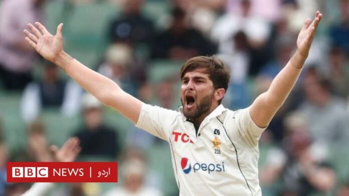 شاہین شاہ آفریدی: پاکستانی فاسٹ بولر کو بنگلہ دیش کے شاہین شاہ آفریدی: پاکستانی فاسٹ بولر کو بنگلہ دیش کے خلاف ٹیسٹ سیریز سے ڈراپ کر دیا گیا - BBC News اردو